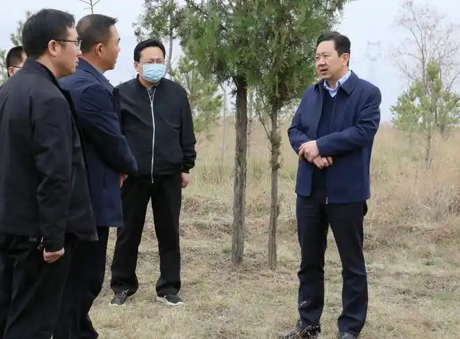 王志成调研检查安全生产春耕生产和人居环境整治等工作图