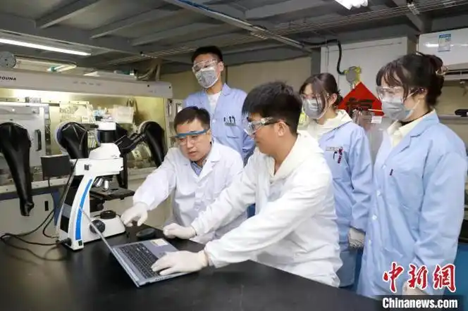 提供丰富材料库 上海科研团队研发通用晶体生长技术