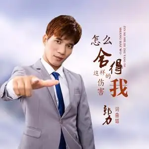 郭力专辑:怎么舍得这样的伤害我语种:国语唱片公司:风靡时代发行时间