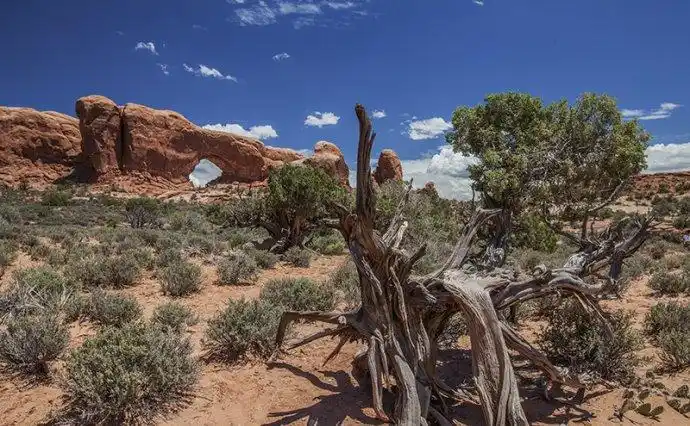 白垩纪时期的地理环境