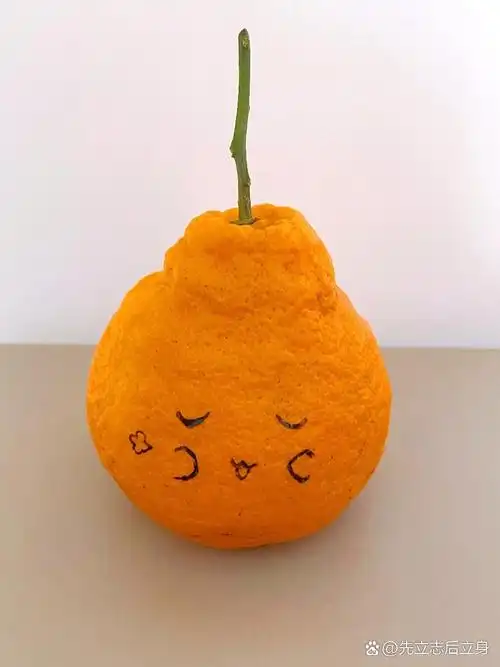 橘子表情包‖丑橘不丑不丑拒92简笔画