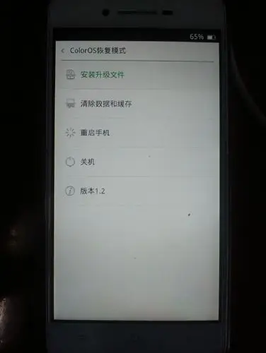 oppor8207突然进入coloros恢复模式怎么办,重启没有用,一直像图片里这