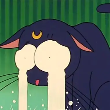 美少女战士黑猫露娜