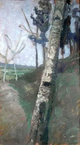 《树木景观前的桦树树干》(birch trunk in front of tree landscape)