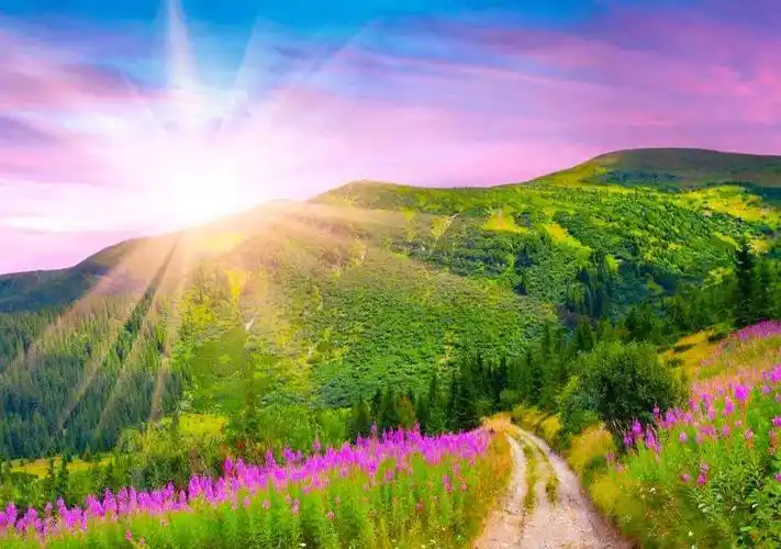 平静的图片 心情(静心和心静才是人生最美好的境界)