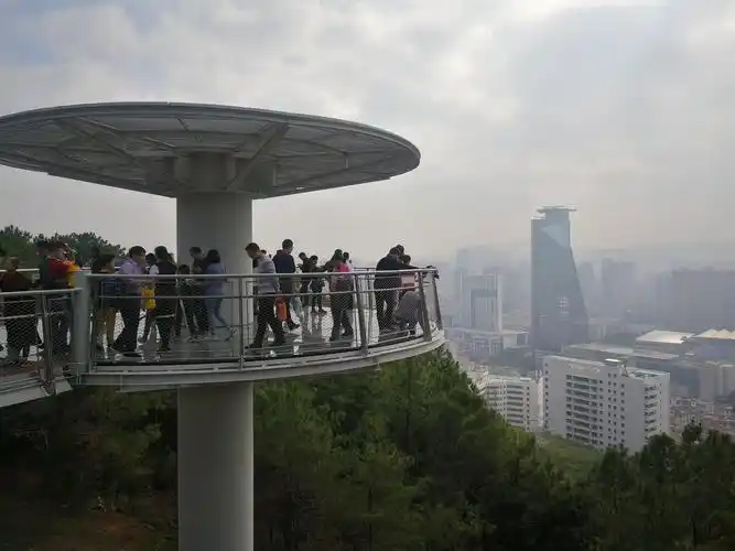 新春迈步――仙岳山步道