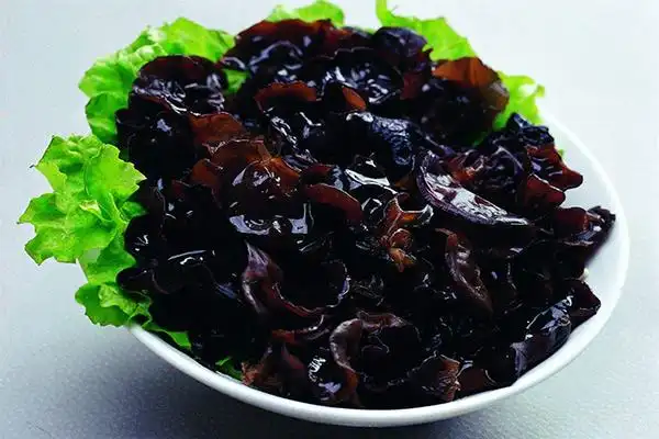 春季保健蔬菜不可少 - 酉阳县农人生态农业有限公司