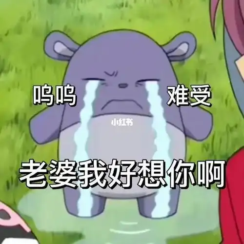 巴库表情包  #异地恋情侣  #老婆  #巴库老婆奴  #情侣表情包