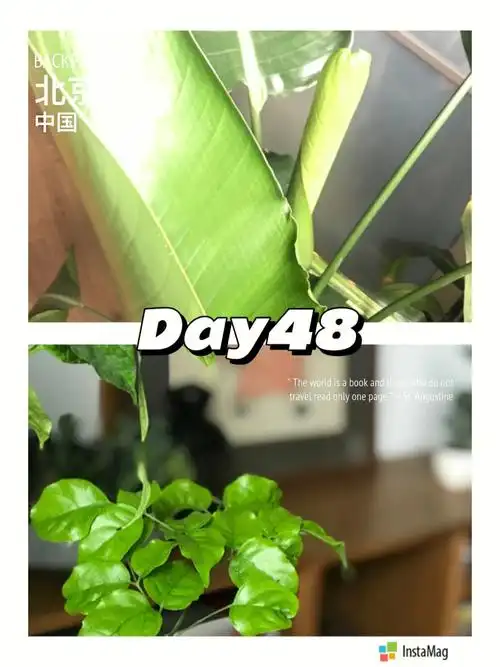 交流【correlate】与…相关联【investigate】调查【appraise】评价