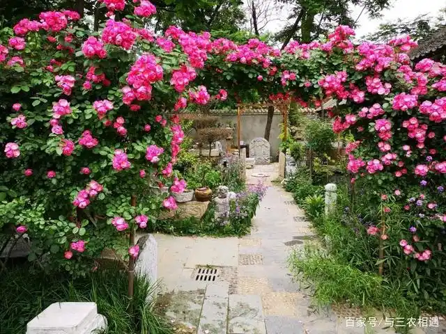 旅居养老的生活 只想有个小院 三餐四季,粗茶淡饭 简简单单过个小日子