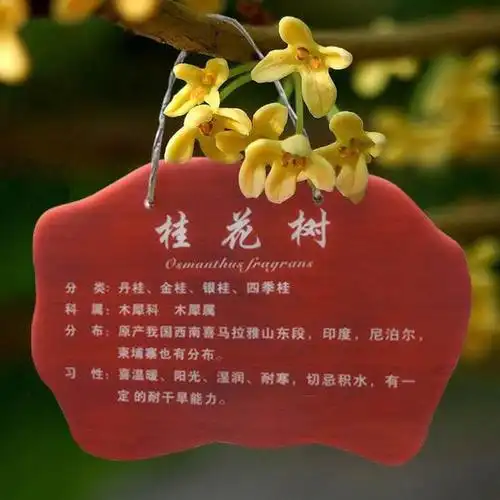 植物标识牌的重要性!