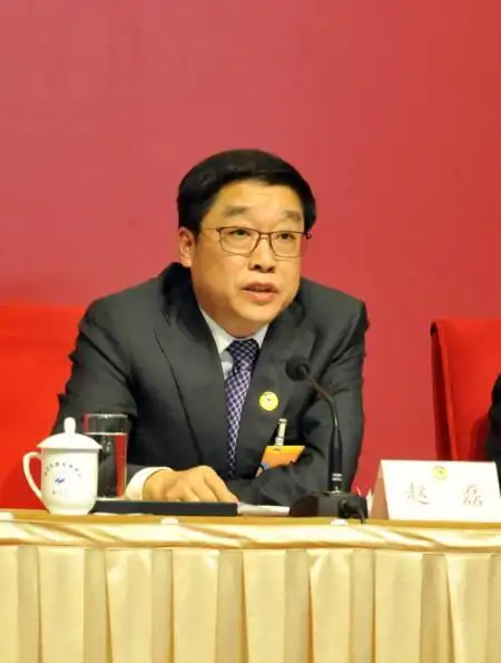 赵磊:发展文化产业国有企业必须带头