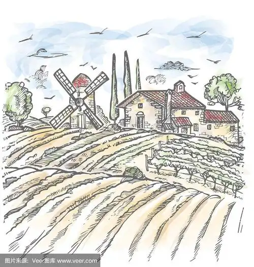 水彩矢量农场雕刻风格绘图,灰色线上的白色