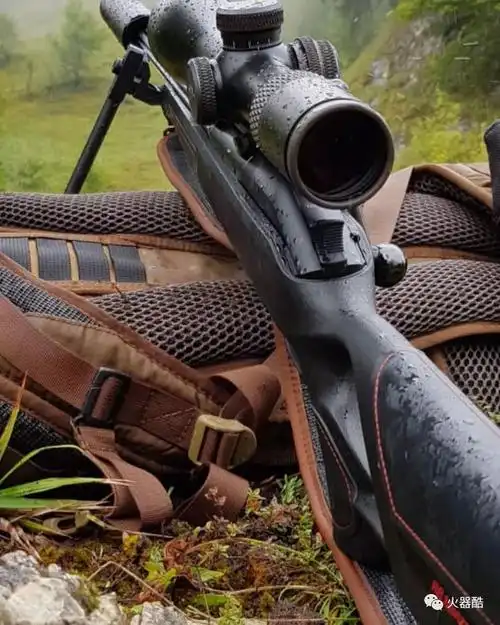 山野的呼唤德国blaser猎枪美图