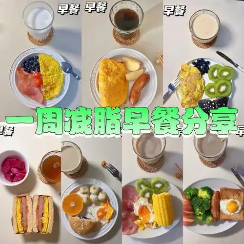 一周减肥早餐食谱合集▏已瘦8斤▏吃这些