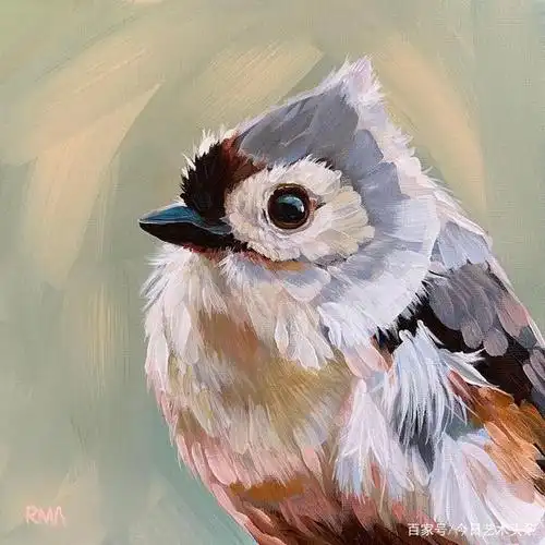 艺术家雷切尔禽鸟油画作品欣赏