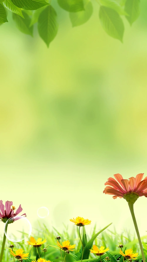 小清新花卉h5背景小清新花卉h5背景