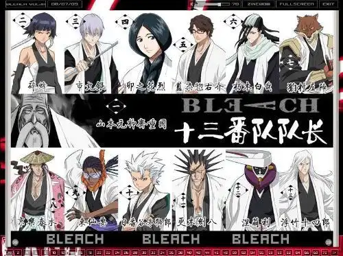 求死神十三队的队长的合影