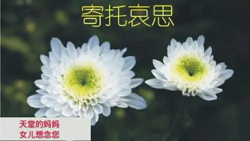 我亲爱的妈妈,愿您在天堂没有病痛,没有忧愁!女儿永远怀念您!