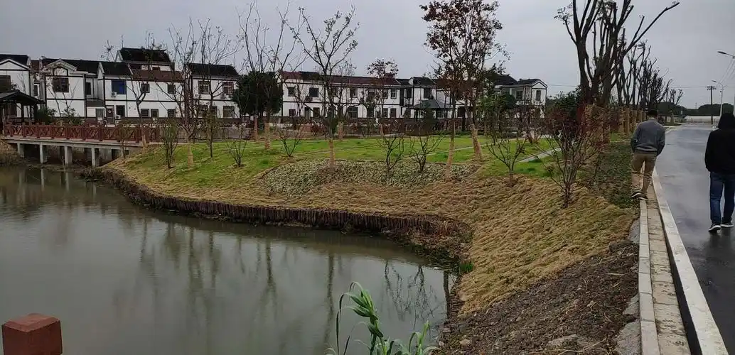 软驳岸,打了两排杉木桩.坡度再缓一点,可能效果会好点.