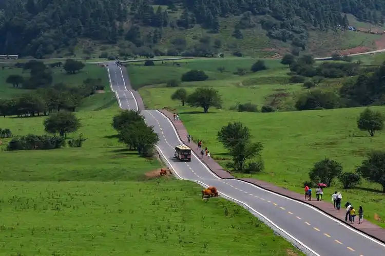 重庆仙女山景点介绍,仙女山国家森林公园景点介绍|武隆旅游网