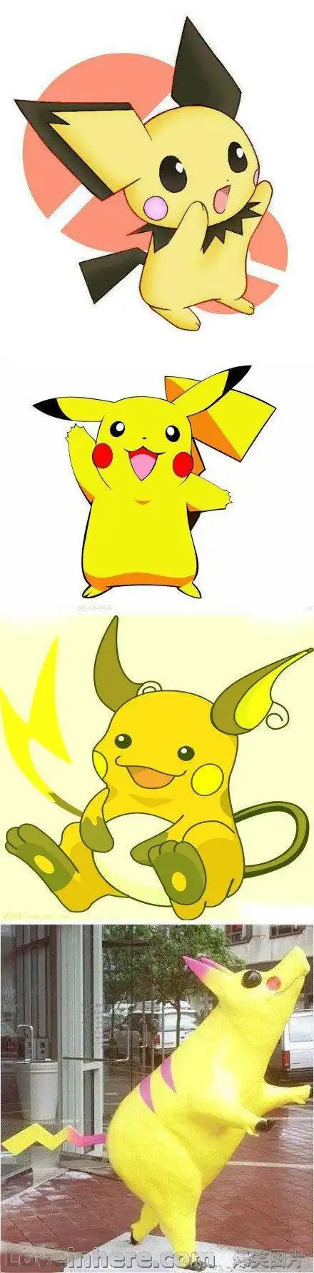 皮卡丘的正确进化顺序