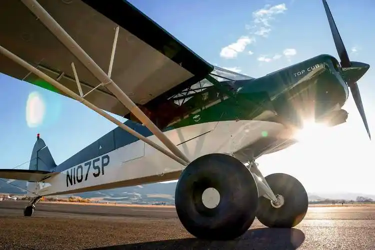 越野之王小熊固定翼飞机