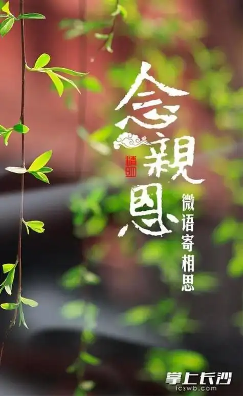 思念,献给远在天堂的父亲