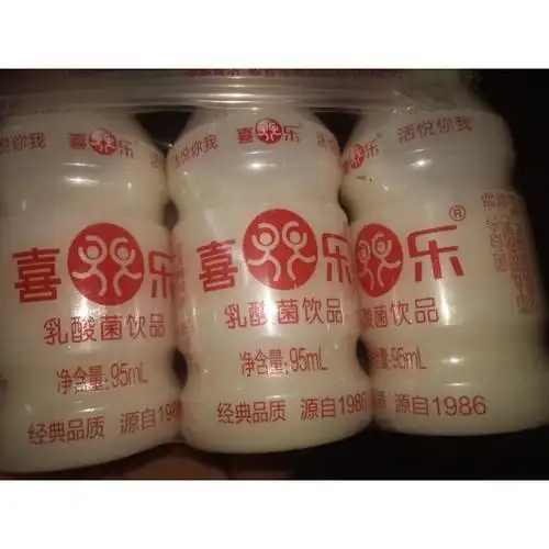 喜乐发酵型乳酸菌原味牛奶儿童酸奶饮品95ml12瓶