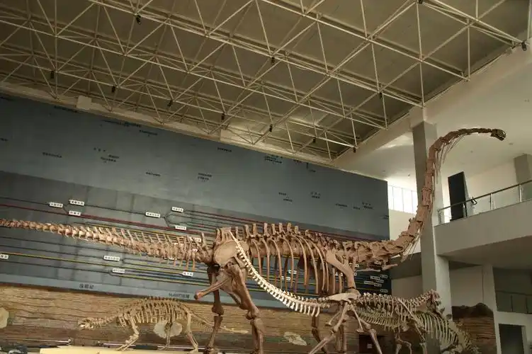 辽宁朝阳鸟化石国家地质公园 电子票 当日下单1小时后可用