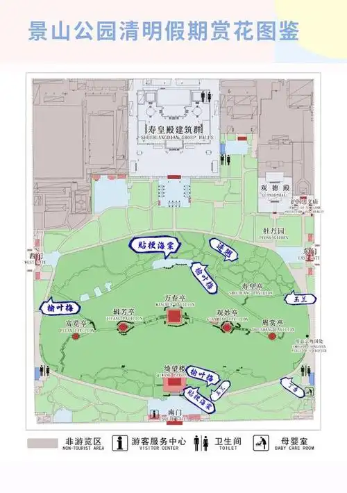 景山公园送您一份清明假期赏花锦囊