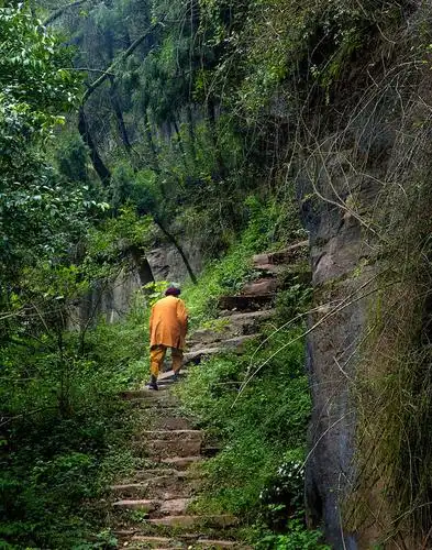 大家都只知道乐山大佛