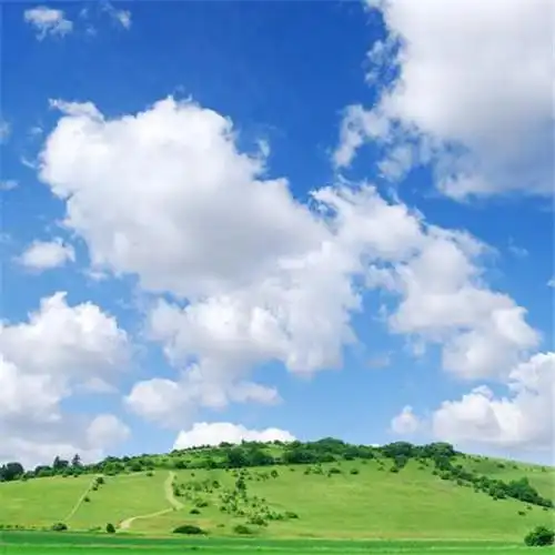 清新风景静物头像