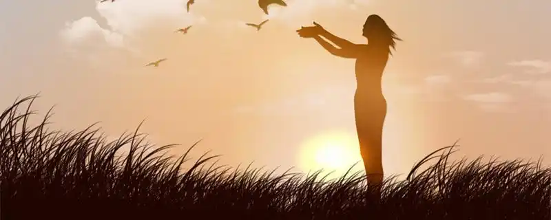摄图网_400062693_banner_夕阳下草地上放飞鸽子的女人(企业商用1)