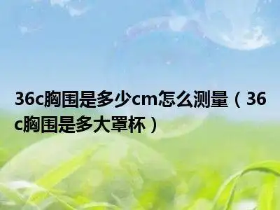 36c胸围是多少cm怎么测量36c胸围是多大罩杯