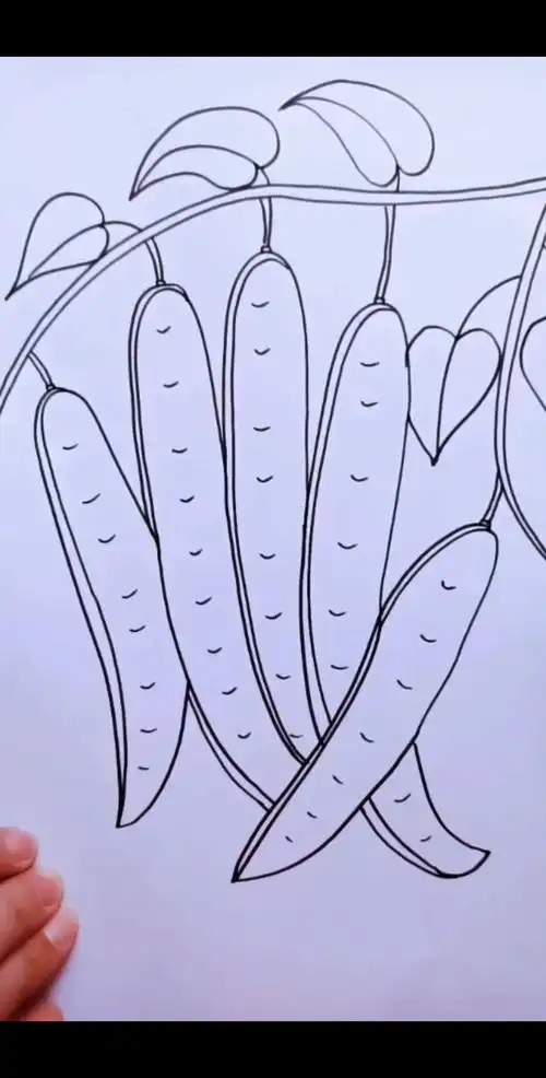 创意手掌画#简单画四季豆