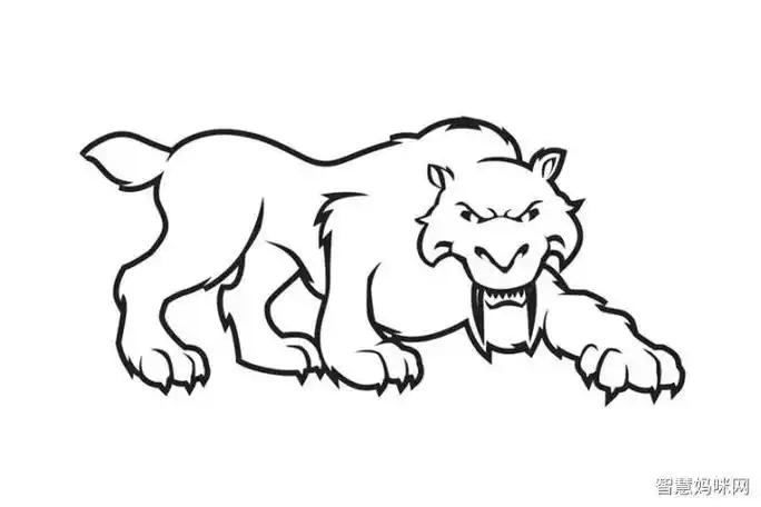 美洲剑齿虎的简笔画