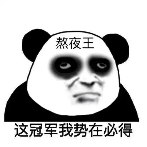 熬夜表情包我明天一定早睡