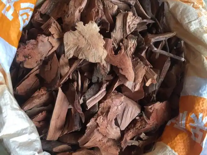 老根世家优惠专场,最新打折特卖商品,淘宝天猫优惠券领取-35优惠券