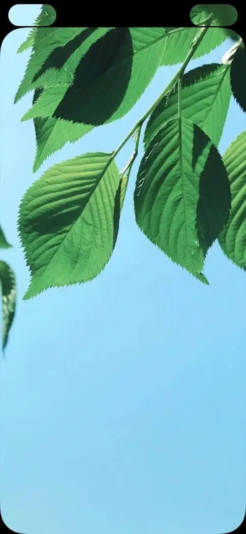 iphonex 壁纸 自用 高清