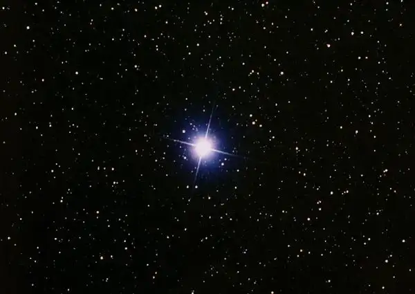 牵牛星(网页截图)