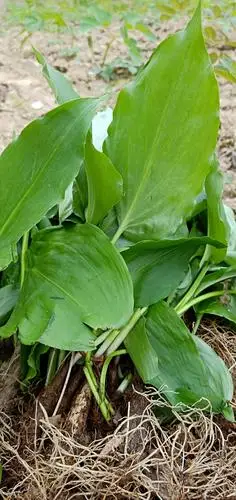 第一次重装纪念