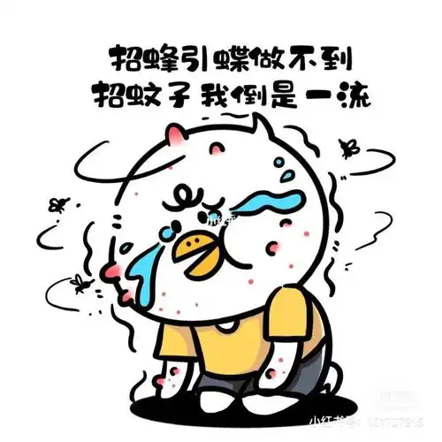 关于大冬天的晚上被蚊子咬醒这件事