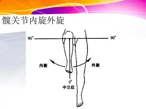 髋关节内旋外旋