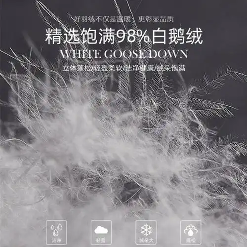 羽绒一斤装羽绒服羽绒被枕填充物95大朵白鹅绒90白鸭绒羽绒毛散装