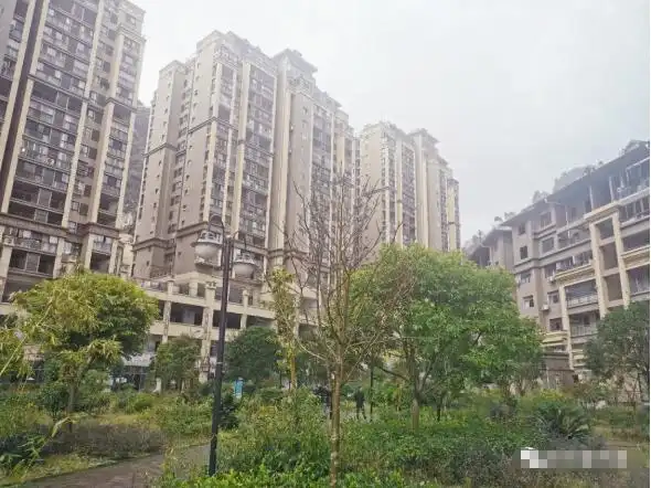 29日,记者来到位于思南县安化社区田秋路的和谐腾龙国际小区,该小区是