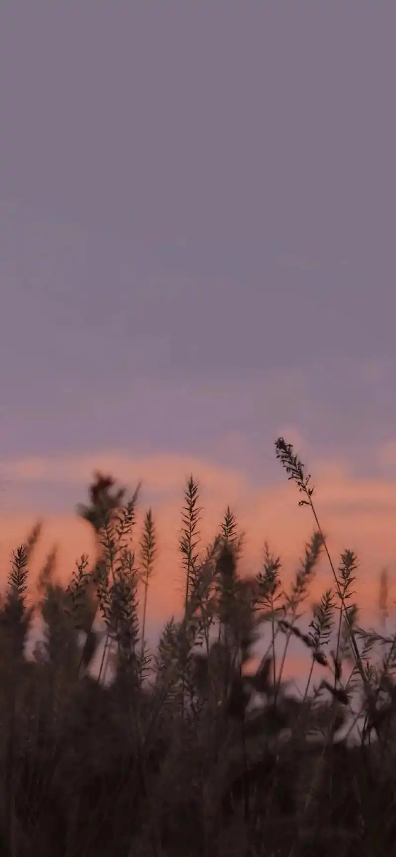 爱无法定义#壁纸潮图 #微信背景图 #抖音小助手  - 抖音