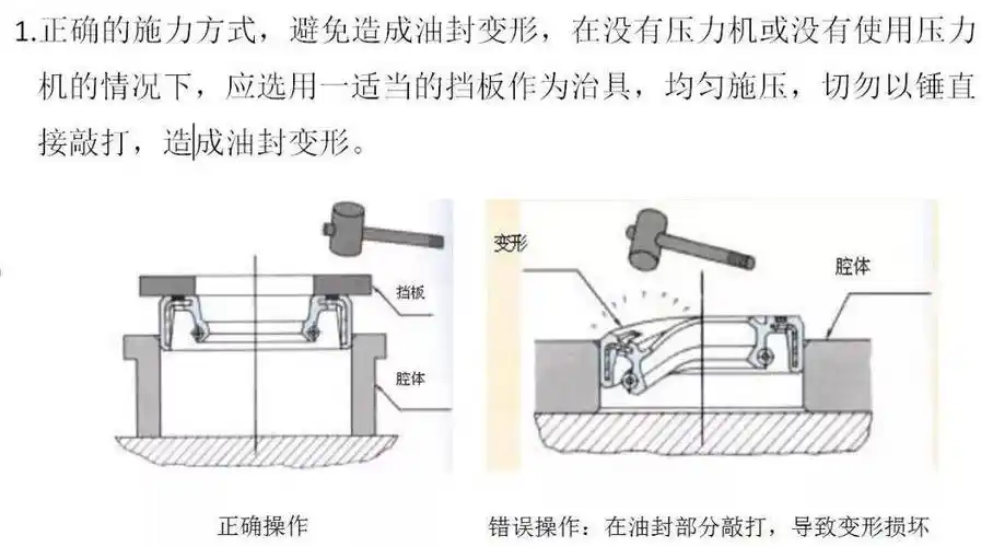 油封基础知识全在这里了