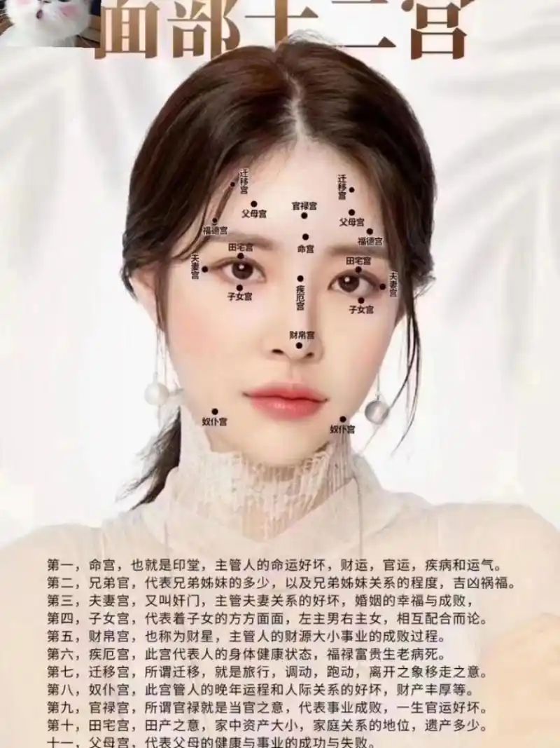 面部十二宫 很多人都不知道,今天分享给大家90