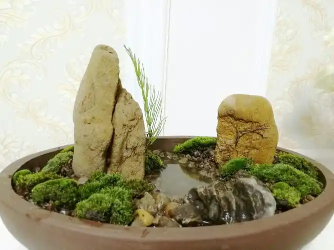 捡了几个石头做了2个盆景